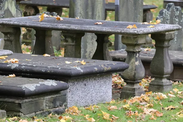 Bench Park — Stock Photo, Image