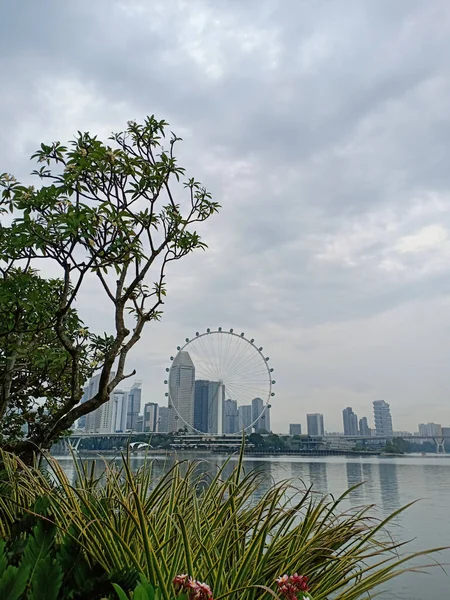 싱가포르 플라이어 페리스 아름다운 — 스톡 사진