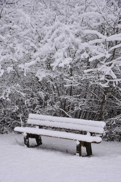 Деревянная Скамейка Снегу — стоковое фото