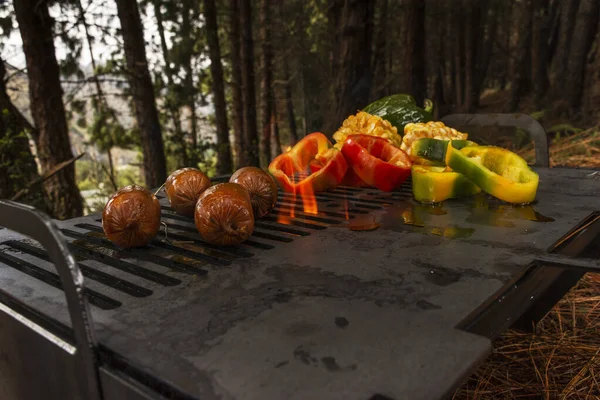 Delicious Picnic Barbecue Garden — Stockfoto