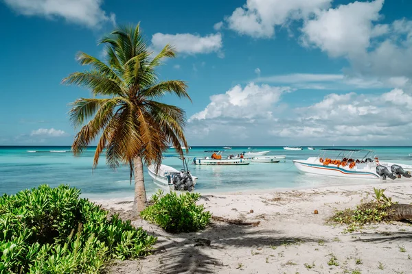 Une Belle Vue Sur Une Plage Caribéenne Avec Palmiers Ciel — Photo