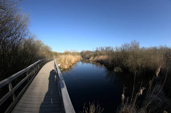 Puente Madera Sobre Lago — Foto de Stock