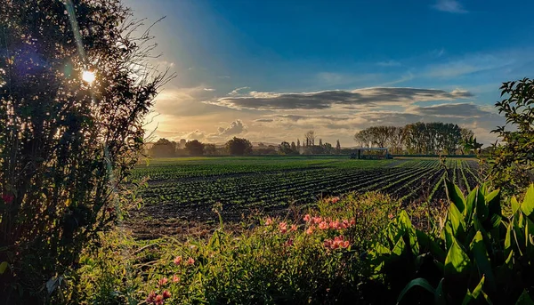 Schöne Aussicht Auf Das Feld Des Tales — Stockfoto