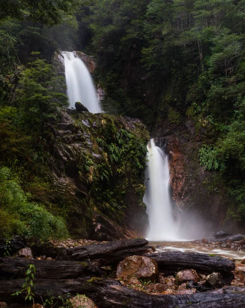 Wasserfall Wald — Stockfoto