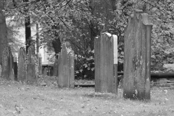 Old Wooden Cemetery Park — Stock Photo, Image