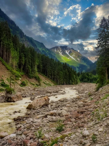 背景には岩や山の上に水が流れ落ちる鬱蒼とした木々 — ストック写真