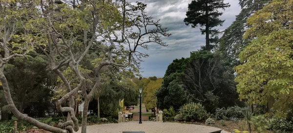 Vacker Utsikt Över Parken — Stockfoto