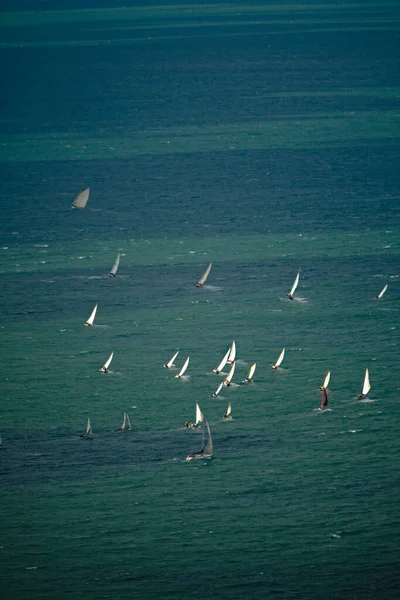 Vertical Shot Barcolana Gulf Trieste Adriatic Sea — стоковое фото