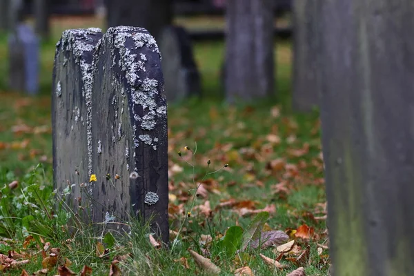 Old Wooden Cross Ground — Stock Photo, Image