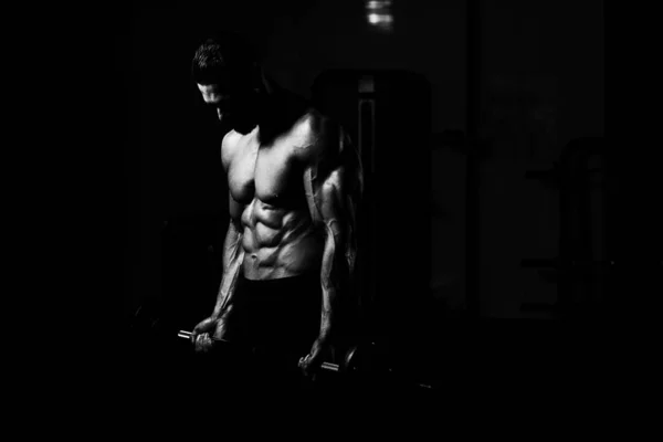 漂亮的健美男子男子气概 体格健壮的男子在健身房哑铃柔韧的肌肉健康模型站立强壮的下巴 — 图库照片
