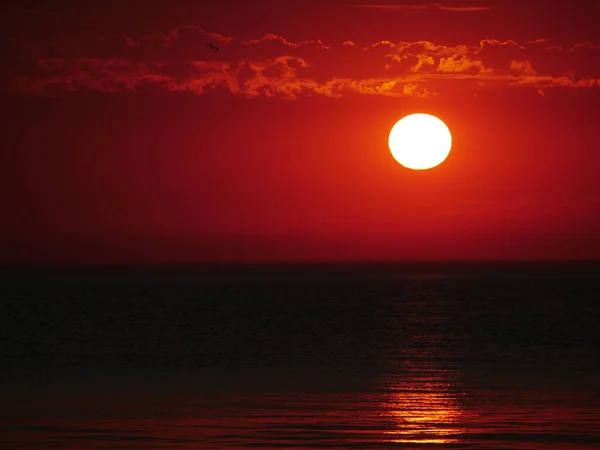 Sunset Sea Colorful Sunrise Horizon — Stock Photo, Image