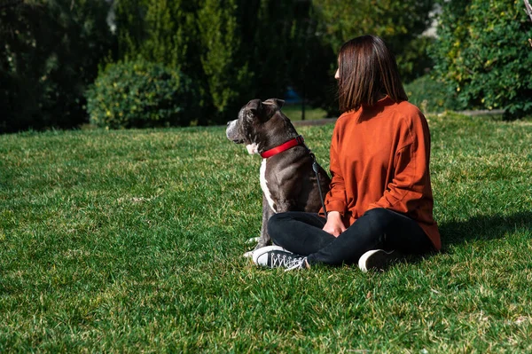 Jeune Fille Avec Son Chien Dans Parc Été — Photo