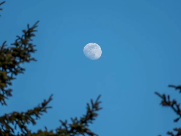 Lua Céu — Fotografia de Stock