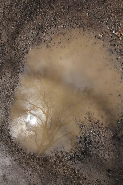 泥の中の地面は — ストック写真