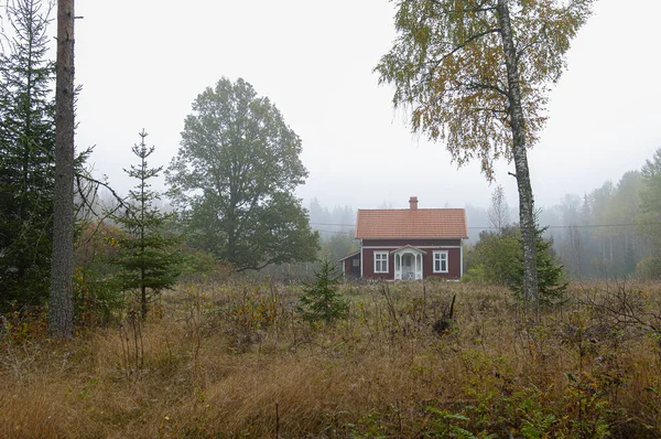 Gammalt Övergivet Hus Skogen — Stockfoto