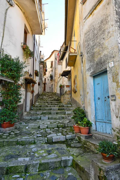 Smalle Straat Het Oude Centrum Van Kotor Montenegro — Stockfoto