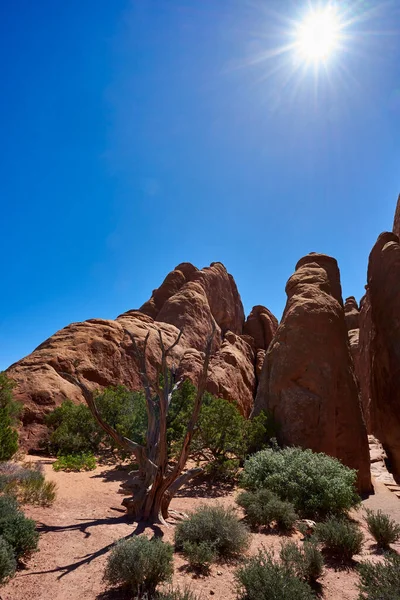 Oblouky Národní Park Utah Usa — Stock fotografie