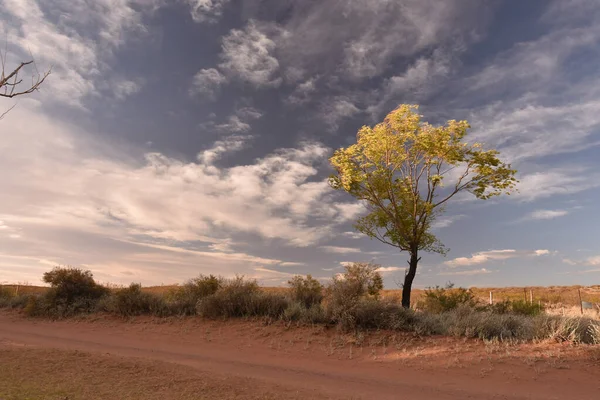 Hermoso Paisaje Con Árboles Nubes —  Fotos de Stock