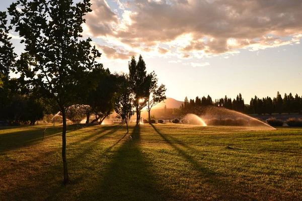 Mooie Zonsondergang Het Park — Stockfoto