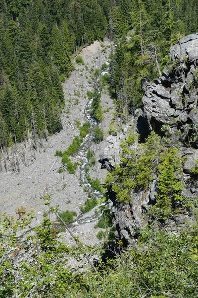 Ορεινό Τοπίο Μεγάλη Πέτρα Και Μικρό Δάσος — Φωτογραφία Αρχείου