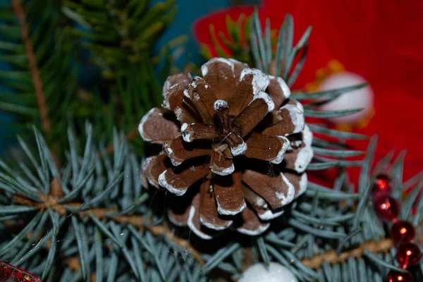 Árvore Natal Com Cones Cone Pinho Fundo Branco — Fotografia de Stock