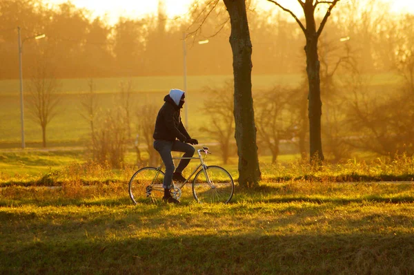 Junger Mann Mit Fahrrad Park — Stockfoto