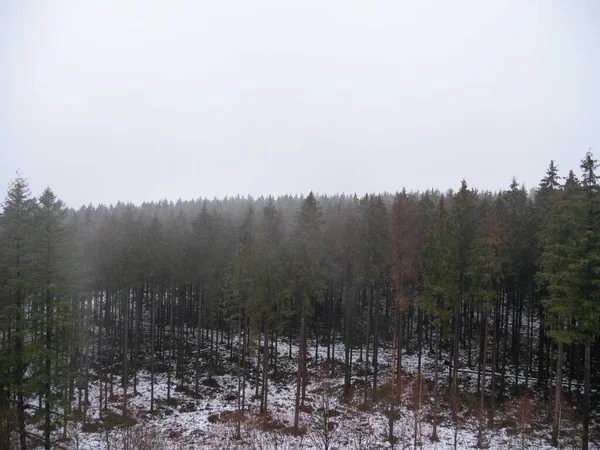 Zimowy Krajobraz Pokrytymi Śniegiem Drzewami — Zdjęcie stockowe