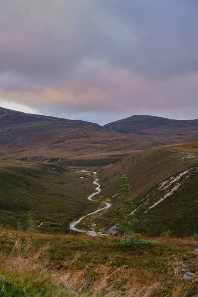 Wunderschöne Landschaft Mit Einem Berg Hintergrund — Stockfoto