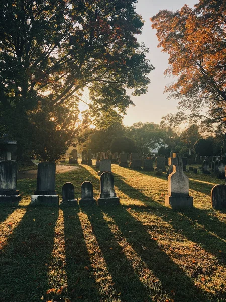 Cimitero Nel Parco — Foto Stock