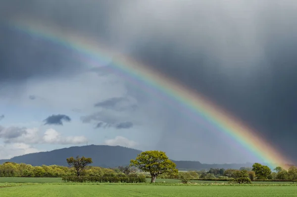 Regenbogen Auf Der Grünen Wiese — Stockfoto