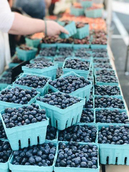 Close Fresh Organic Blueberries Market — Stock Photo, Image