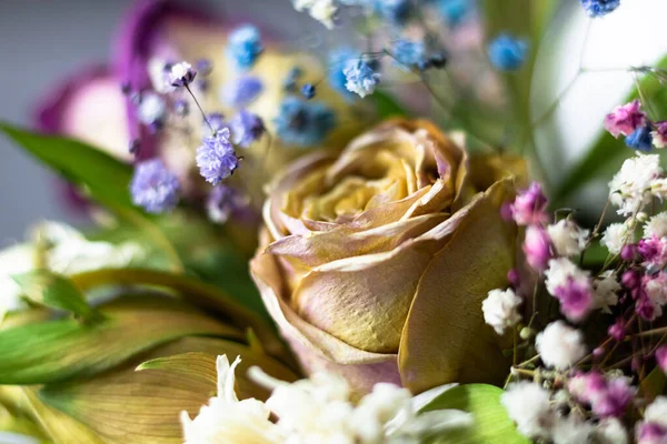 Gyönyörű Csokor Virág Egy Fehér Háttér — Stock Fotó