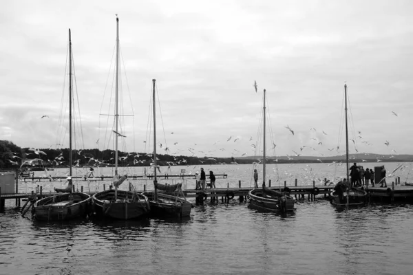 Vacker Utsikt Över Havet Med Båtar — Stockfoto