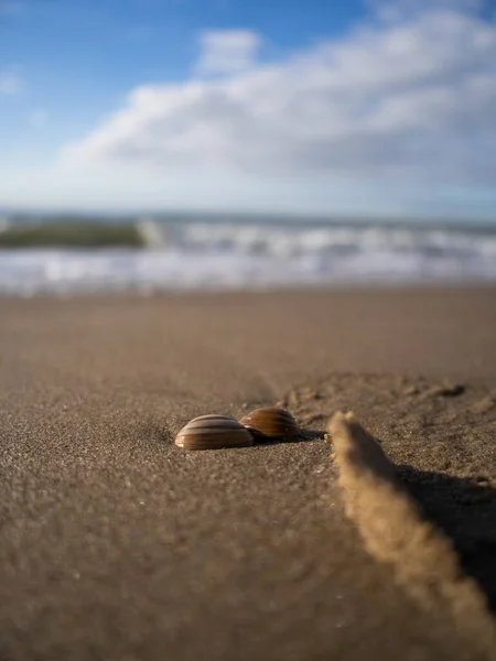 Closeup Shot Beach Sand Wave Background — Stock Photo, Image