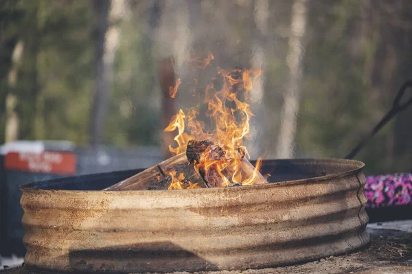 森の中のグリルの炎 — ストック写真