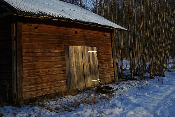 Maison Bois Dans Forêt — Photo