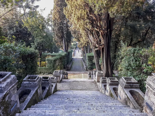 Hermosa Vista Del Parque — Foto de Stock