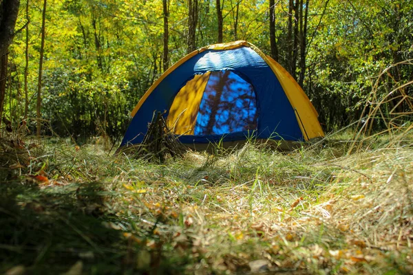 Tente Camping Dans Forêt — Photo