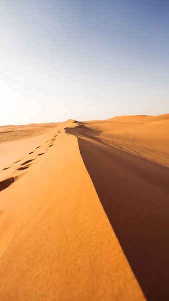 Leere Sanddüne Der Sahara Namibia — Stockfoto