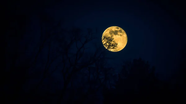 Fullmåne Natthimlen — Stockfoto