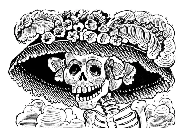 Koponyás Csontos Koponya Vektor Illusztráció — Stock Fotó