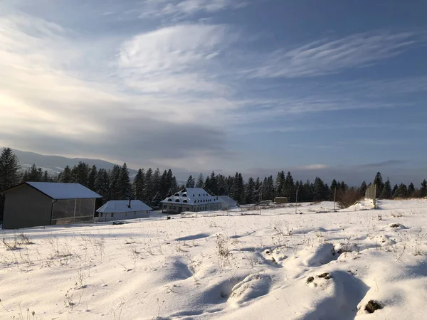 Wunderschöne Winterlandschaft Mit Schneebedeckten Bäumen — Stockfoto