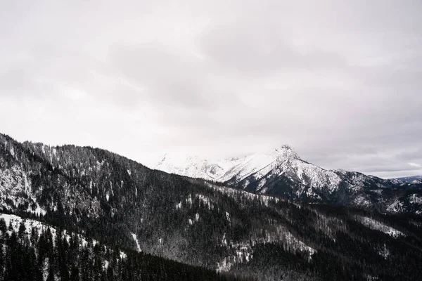 눈덮인 아름다운 — 스톡 사진