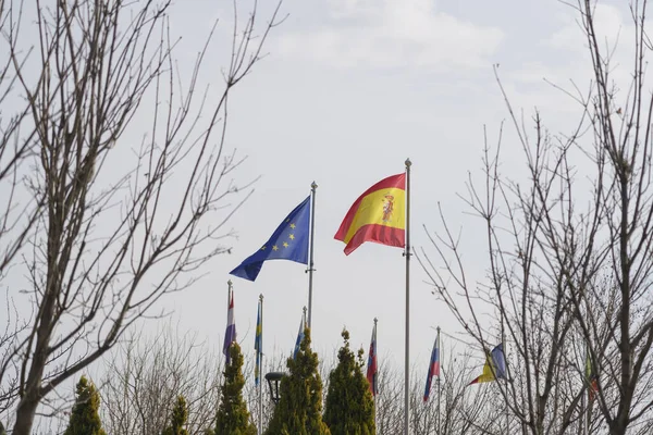 Vlajky Evropské Unie Romania — Stock fotografie