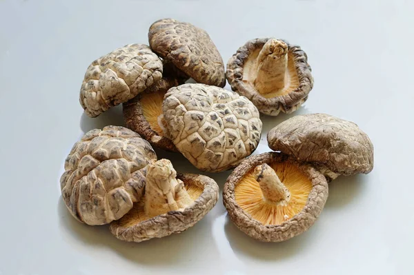 Shiitake Cogumelos Close Vista Superior — Fotografia de Stock