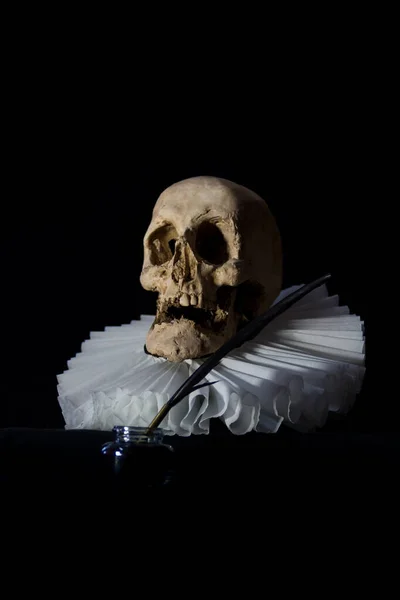 Κρανίο Σκελετό Μαύρο Φόντο — Φωτογραφία Αρχείου