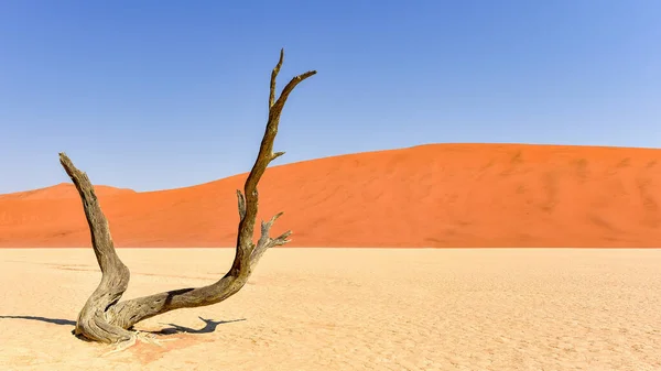 Vacker Utsikt Över Naturen — Stockfoto