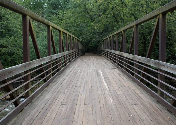 Híd Erdőben — Stock Fotó