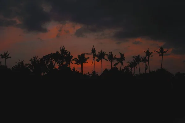 Palmy Zachodzie Słońca Tropikalna Wyspa — Zdjęcie stockowe