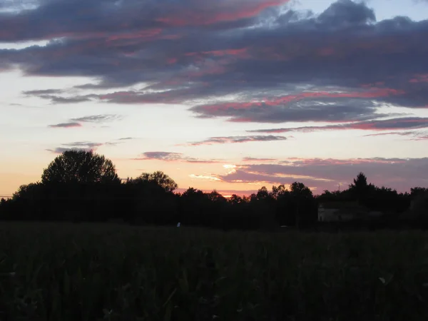 Schöner Sonnenuntergang Über Dem Feld — Stockfoto